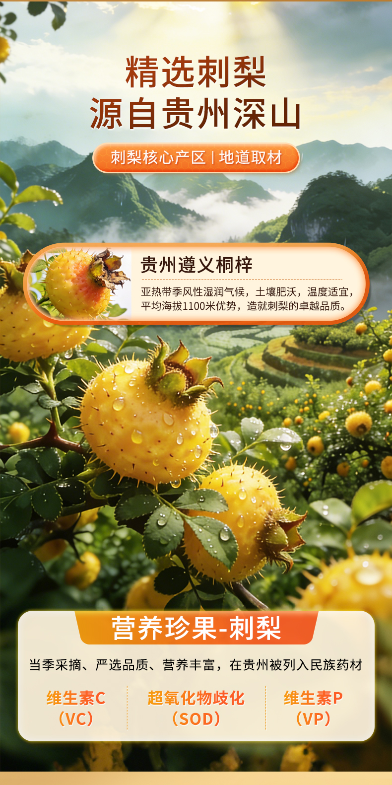 img upload - 68798609-1ce5-4204-92ef-3cbeb4c2b209